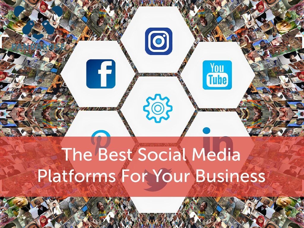 The Best Social Media Platforms for your Business