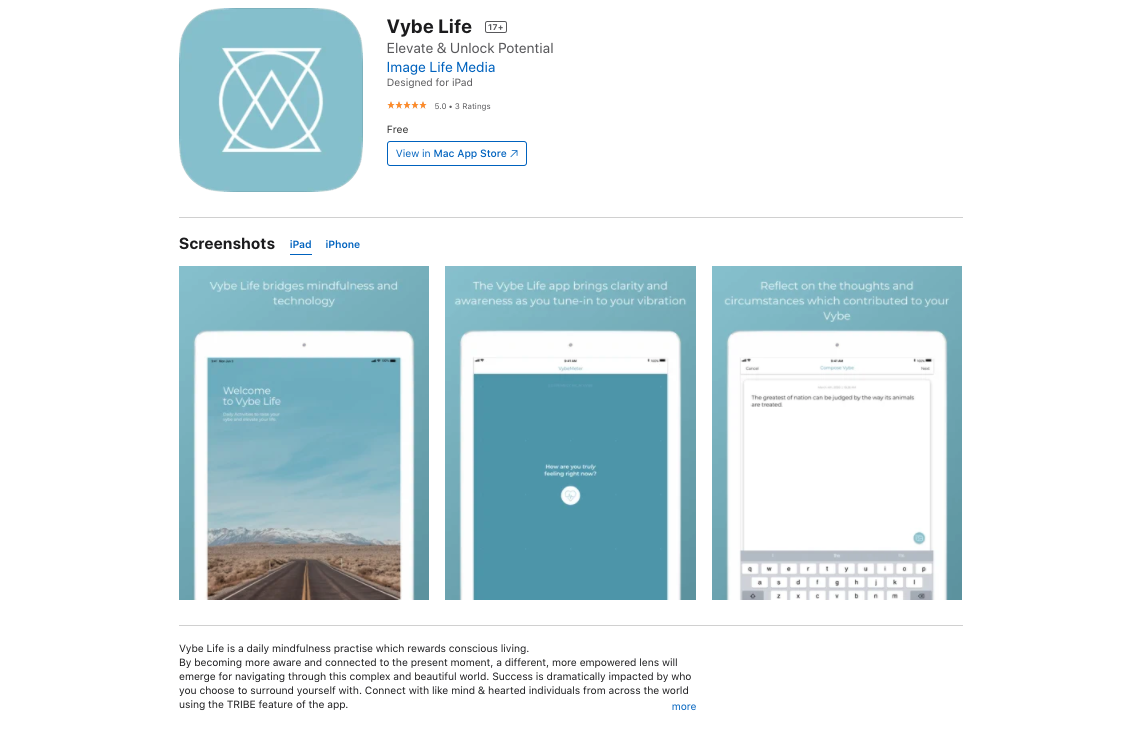 Vybe Life in the App Store